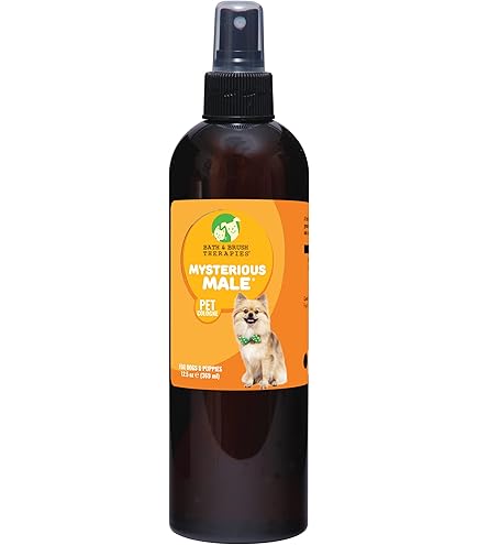 Amazon.com: Showseason Bath & Brush Therapies® Mysterious Male
